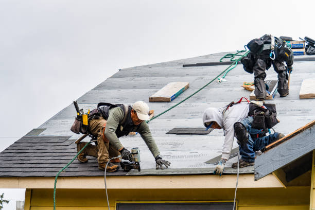 Professional Flat Roof Repair technician working in Ellsworth, WI